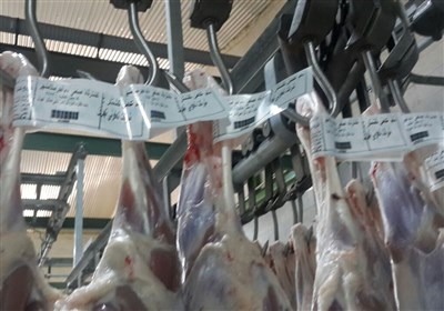  قیمت گوشت گوسفندی کاهش یافت اما هنوز ۳۰ هزار تومان حباب دارد 