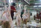 همدان|افزایش قیمت و کاهش کیفیت گوشت قرمز در تویسرکان واقعیت ندارد