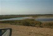 استاندار خوزستان: حق‌آبه هورالعظیم از آب کرخه تامین می‌شود