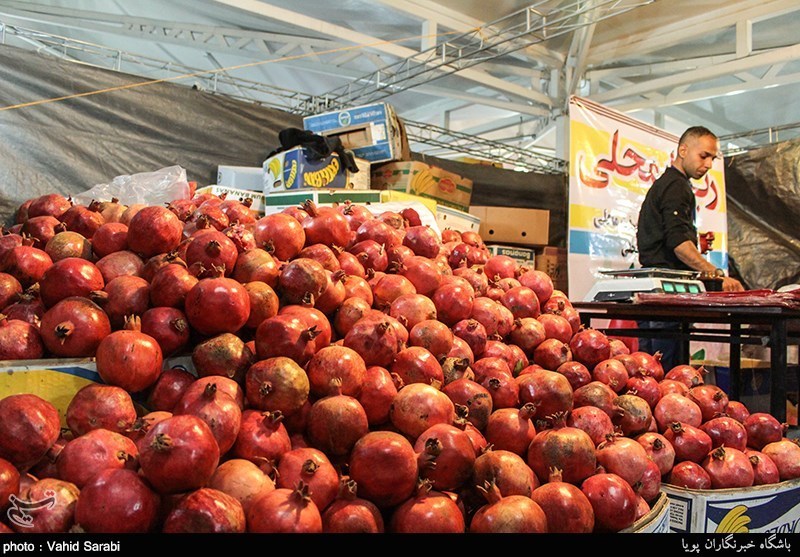 جشنواره میوه‌های قرآنی در دارالشهدای تهران برگزار می‌شود