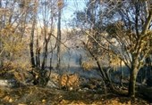 آتش‌سوزی در روستای «بیدرواس» پاوه مهار شد/ وزش تندباد و یخ‌زدگی آب مهار آتش را به تعویق انداخت