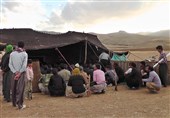عشایر استان خراسان جنوبی بیش از 13 هزار تن فرآورده دامی تولید کردند