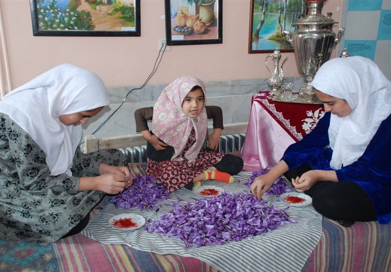 نخستین جشنواره "زعفران طلای سرخ" در بهاباد به روایت تصویر