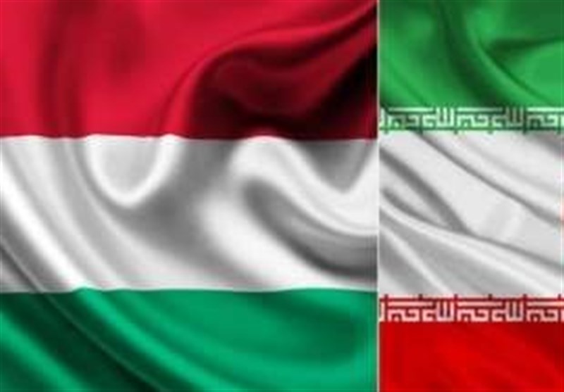 محافظ فارس یؤکد على تعزیز العلاقات الثنائیة مع المجر