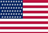 عکس / پرچم جدید امریکا بعد از انتخابات