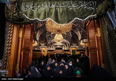 زوار الامام الحسین(ع) فی الکوفة