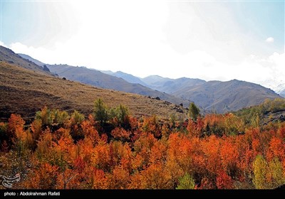 Autumn Season in Iran's Hamedan Province