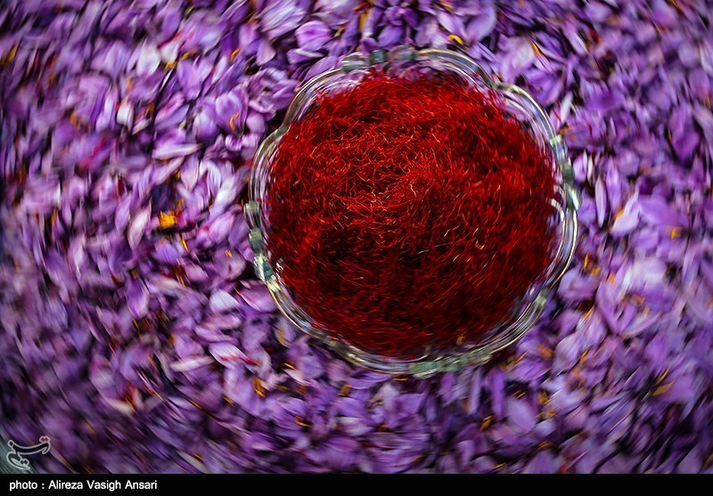 ایران در تولید زعفران در جایگاه نخست دنیا قرار دارد ‌
