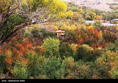 ایران کے صوبہ ہمدان میں خزاں کی آمد