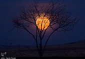 رصد پدیده ابر ماه در سنندج