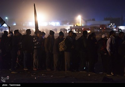 نقل وحرکة زوار الأربعین لیلاً باتجاه النجف الاشرف