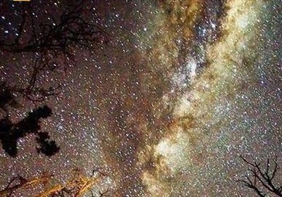 All 468 Stars in Milky Way Stellar Stream Theia 456 Related