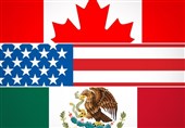 nafta