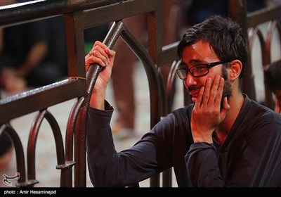 Pilgrims in Shiite Holy Shrines in Iraq’s Najaf, Karbala