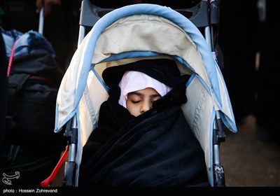 زائرین خردسال حرم اباعبدالله الحسین (ع)