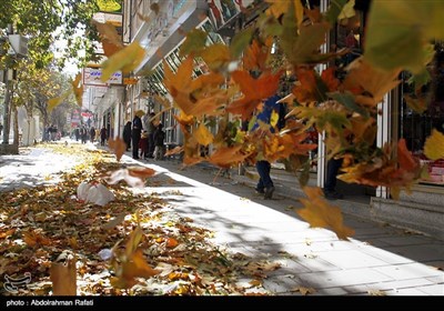 طوفان و گرد و غبار در همدان