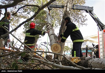 طوفان و گرد و غبار در همدان