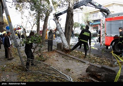 طوفان و گرد و غبار در همدان