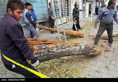 طوفان و گرد و غبار در همدان