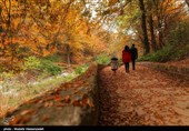طبیعت پاییزی استان گلستان