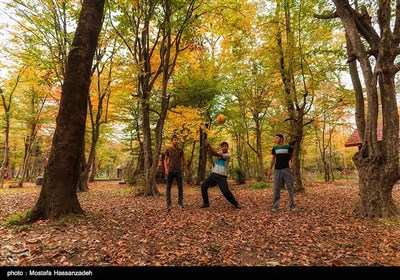 Autumn in Iran's Golestan Province 