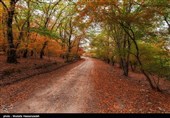 طبیعت پاییزی استان گلستان