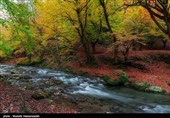 طبیعت پاییزی استان گلستان