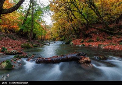 Autumn in Iran's Golestan Province 