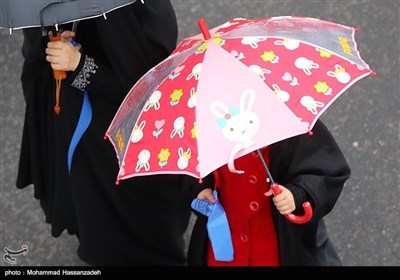 Tehran Hosts Massive Arbaeen Procession 