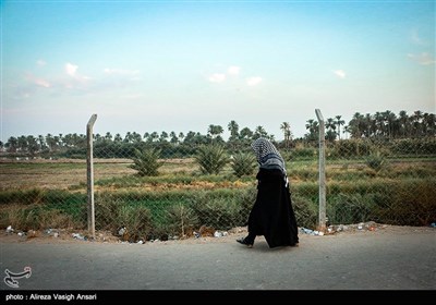 پیاده روی آخرین گروه زائران اربعین حسینی به کربلا