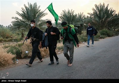 پیاده روی آخرین گروه زائران اربعین حسینی به کربلا