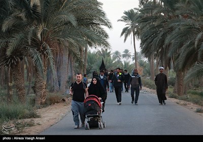 پیاده روی آخرین گروه زائران اربعین حسینی به کربلا