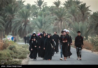 پیاده روی آخرین گروه زائران اربعین حسینی به کربلا