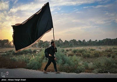 پیاده روی آخرین گروه زائران اربعین حسینی به کربلا