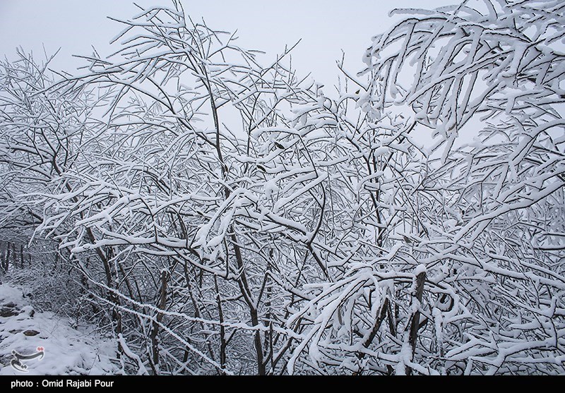 گلستانی‌ها دمای 14 درجه زیر صفر را تجربه کردند/بارش یک‌متر برف در مناطق کوهستانی استان گلستان