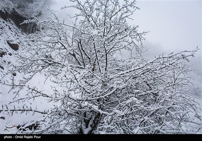 بارش برف در رودسر