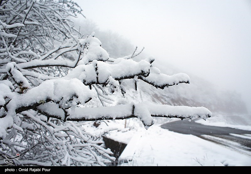 بارش 95 سانتی‌متری برف در برخی مناطق استان گیلان
