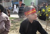 پاراچنار میں چہلم شہدائے کربلا کی یاد میں شبیہ ذوالجناح برآمد/ لاکھوں ماتمیوں کی شرکت