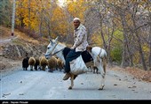 طبیعت پاییزی روستای نران - کردستان