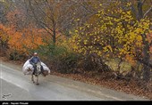 طبیعت پاییزی روستای نران - کردستان