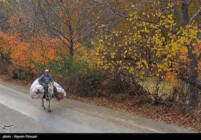 طبیعت پاییزی روستای نران - کردستان