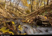 طبیعت پاییزی روستای نران - کردستان