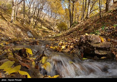 طبیعت پاییزی روستای نران - کردستان