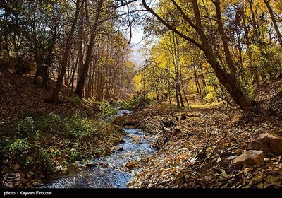 طبیعت پاییزی روستای نران - کردستان