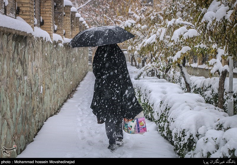برف و باران در راه نیمه شمالی کشور/ تهران بارانی می‌شود
