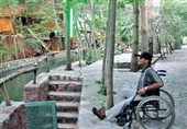 کمیته‌های فعالی برای نحوه اجرای قوانین حوزه معلولین در لرستان تشکیل شود