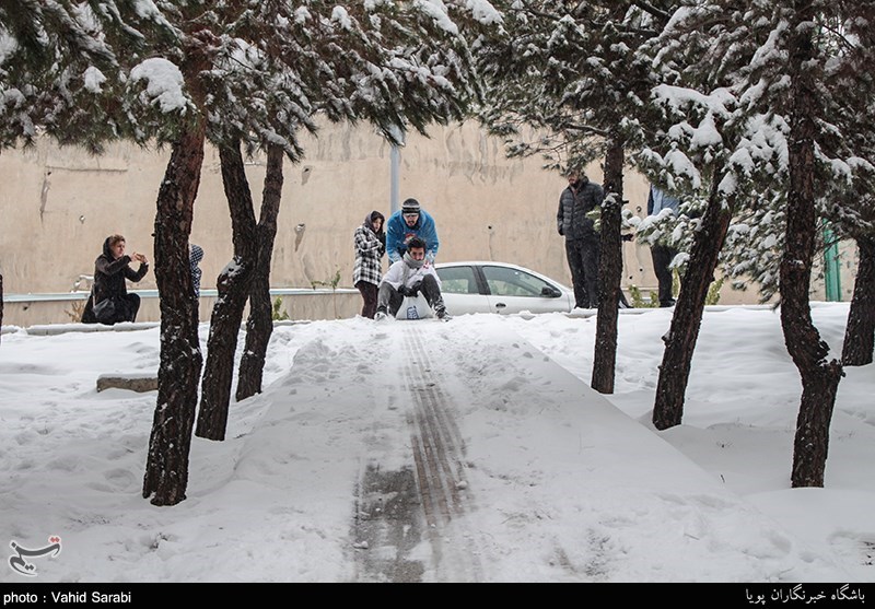 بارش برف در تهران