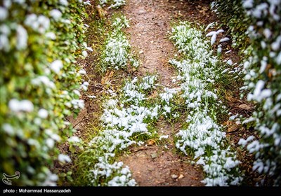 طهران تکتسی بحلة خریفیة بیضاء