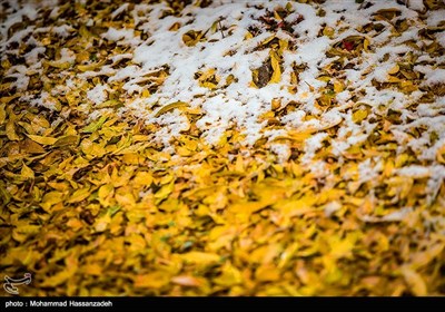 پاییز برفی تهران