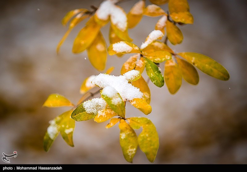 پاییز برفی تهران